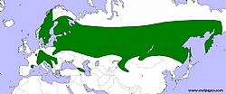 Tengmalm's Owl distribution map (Europe)