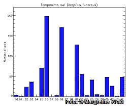 Tengmalm's owl - 22 years of data