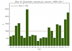 Blue tits ringed, autumn 1990-2011