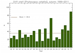Chiff chaffs ringed, autumn 1990-2011