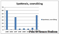 Spettmeis