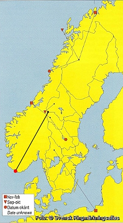 Recoveries of Swedish gyrfalcons