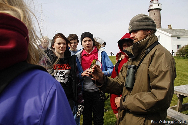 School children's meeting with a siskin