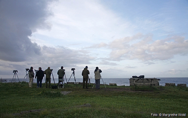 Ornithologists in the Lighthouse area.