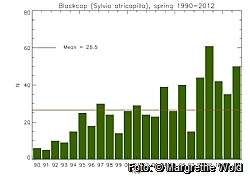 Fig 2: Blackcap numbers, spring season 1990-2012