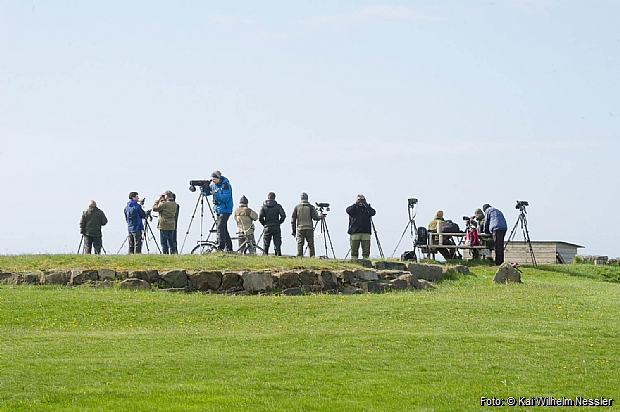 Migration counts at Gunnarshaug